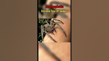 Do You Hate Spiders #shorts