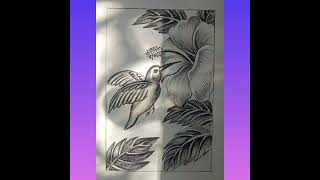 birds and flowers drawing.... pencil sketch drawing...
