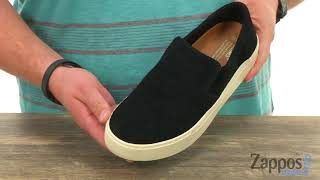 toms lomas canvas slip on sneaker