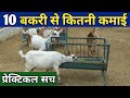 10 बकरी से कितनी कमाई  How To start goat farm