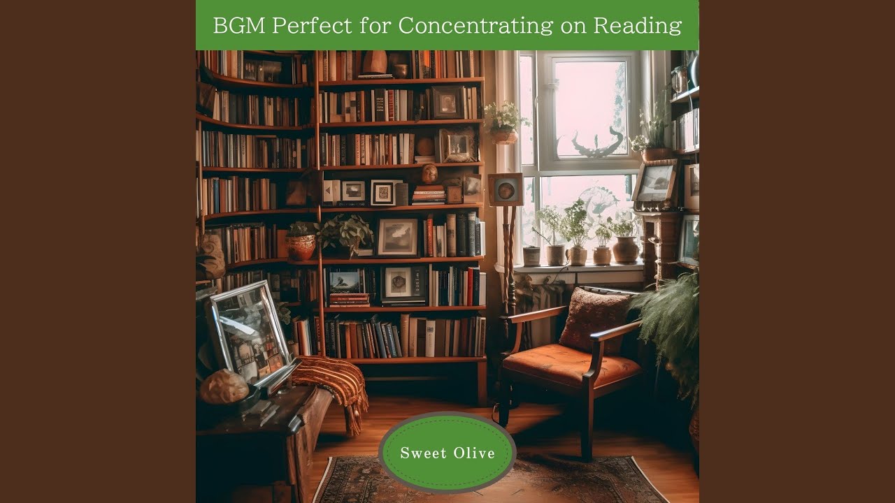 Time to Read a Book (Key E Ver.)