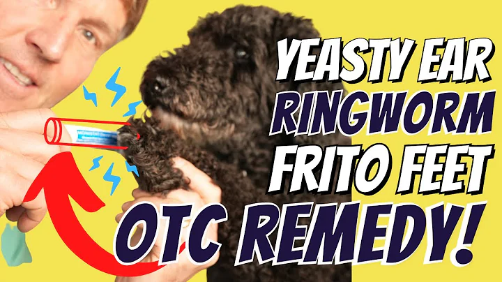 Paw Licking, Ear Scratching, Ringworm: Simple and Cheap OTC Remedy