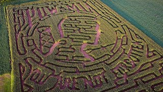 The Corn Maze 2017 - www.thefarminharmony.com