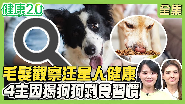 夏宇童愛犬膽小曾被丟包！毛髮觀察汪星人健康！4主因揭狗狗剩食習慣！毛孩美容：剃毛、剪指甲、清耳朵技巧公開！健康2.0 20250615【完整版】#陳欣湄#韋汝#姚勝隆#阿蔓老師#黃書喬#夏宇童