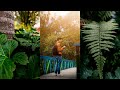 Parque natural puente Sopó - Cundinamarca - Colombia
