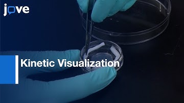 Kinetic Visualization of Interspecies Bacterial Interactions | Protocol Preview