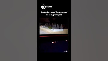 Tesla Driver shares chilling footage - discovers pedestrians near cemetery 🥶