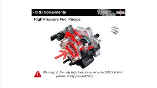 Common Rail Diesel Advanced System Diagnosis screenshot 5