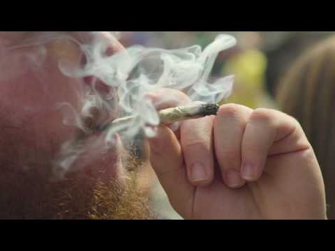 2017 Midwest Cannabis Cup Recap