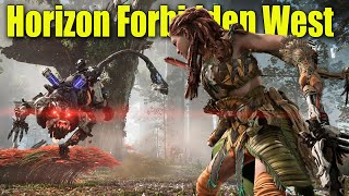 : Horizon Forbidden West    (       )