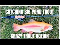 Catching BIG Pond Trout! Part 1