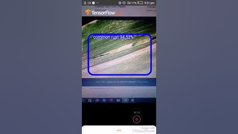 Tensorflow lite android APP for corn disease detection