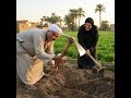 كوميديا مصرية طرائف ريفية فيديو ترفيهي  