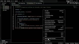 Realización de un programa que verifique una contraseña y solo tenga 3 intentos.