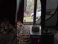 Hot tent camping in Tasmania