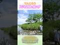 ↑本編はリンクから↑スパイラルポンプ#Shorts #でんじろう先生 #実験 #science #はぴエネ #科学