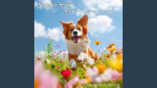 キセキ (オルゴール) - YouTube