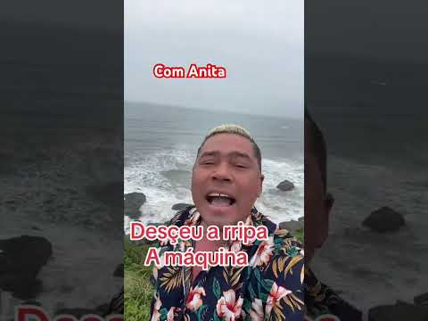 4 de novembro