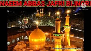 Aao Ek kam Karen Karbala Aam Karen Nohe Khan Nadeem Sarwar New Video