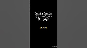 ﴿ وَمَا تِلْكَ بِيَمِينِكَ يَا مُوسَىٰ﴾ سورة طه للشيخ بيشة وا قادر الكردي حفظه الله ورعاه