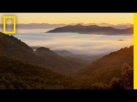 Video: Bedste Aktiviteter I Asheville Og Great Smoky Mountains National Park