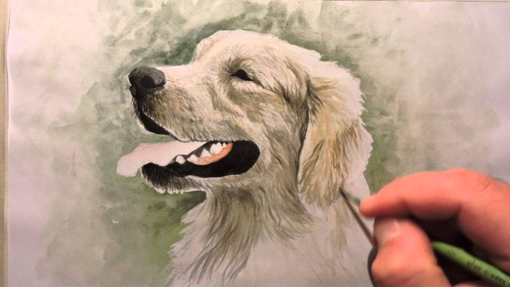 How I Paint A Golden Retriever Dog Portrait Disegnare Un
