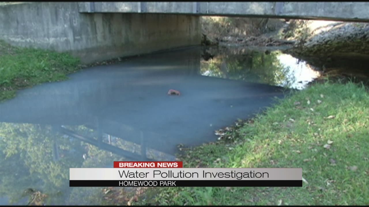 Water Pollution Investigation