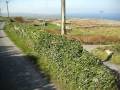 Biking Ireland's Aran Islands