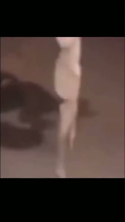 meme absurd acumalaka #shorts #memes #meme #absurd