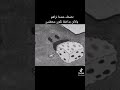 نضحك عندما نراهم ولكن بداخلنا نكون محطمين 