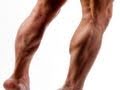 CALF RAISE Workout: Best Way to Exercise (Super 7 System - LEGS 6)