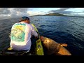 Hobie outback 2020 vs Goliath Grouper epic day on board my kayak. 80 pounds kingmackerel offshore