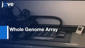 Technical Demonstration: Whole Genome Array Comparative Genomic Hybridization l Protocol Preview