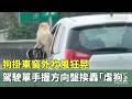 狗掛車窗外吹風狂晃　駕駛單手握方向盤挨轟「虐狗」｜華視新聞 20260518 @CtsTw