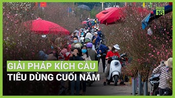 Kinh tế khó khăn, kích cầu tiêu dùng dịp Tết thế nào? | VTC16