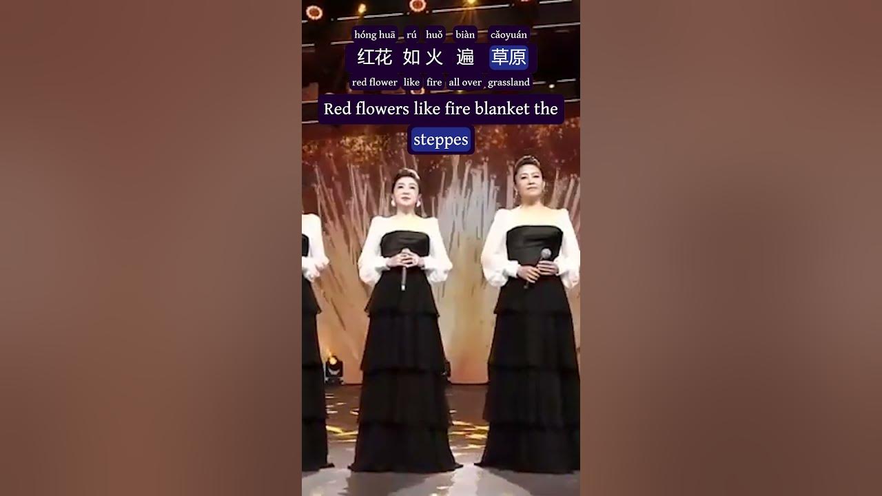 Red Flowers Like Fire - 边疆处处赛江南 by 黑鸭子 - Dynamic Translation