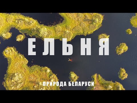Самое популярное болото