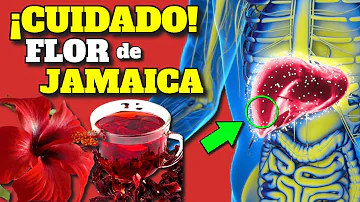 ¿Se puede beber el agua de Jamaica?