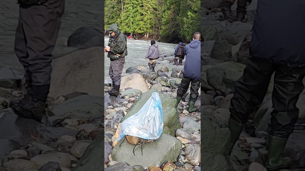 Salmon fishing season has arrived in near Vancouver 2024!!  I ❤️ Vedder river Canada 🇨🇦 #25