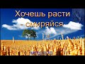 02. "Хочешь расти - смиряйся". Коледа. В. Ю. МСЦ ЕХБ.