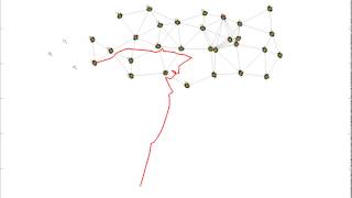 30 Targets Tracked  by Distributed Multi-robot Systems with Global Network Integrity