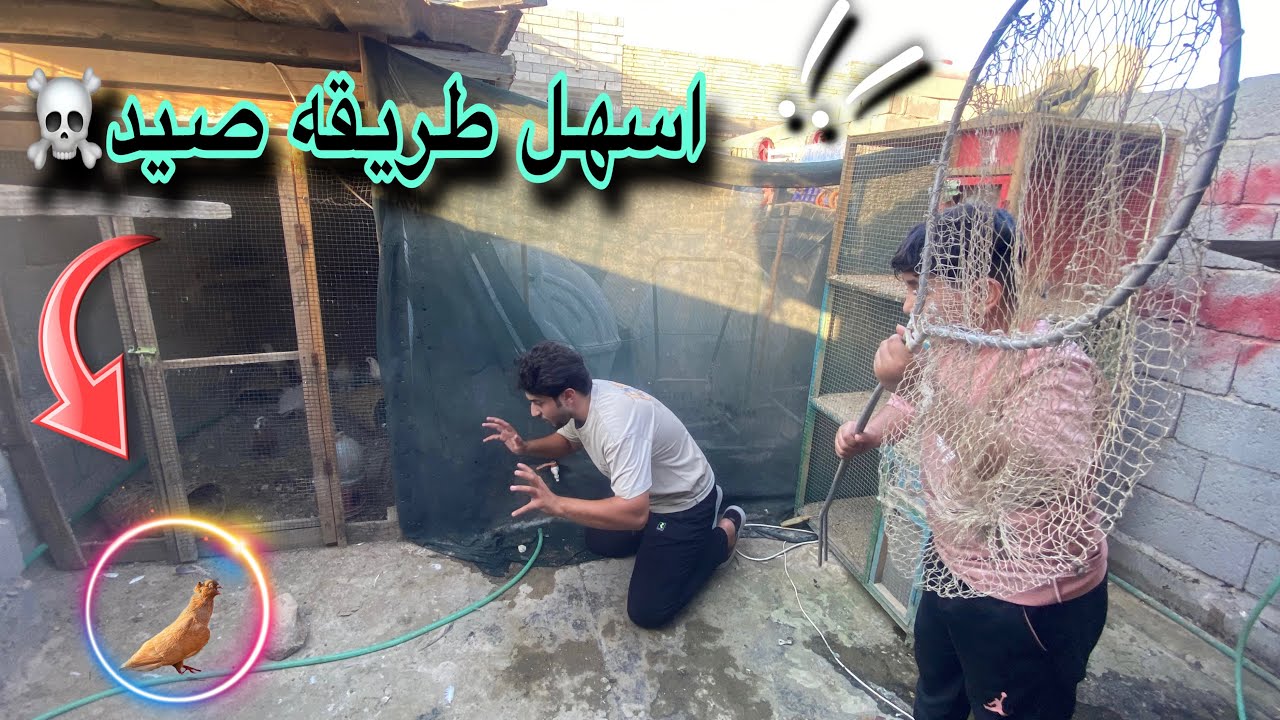 صدت اكثر من طير😳طلعت سفره صيد🤠