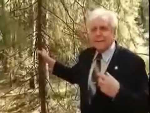 Мотор профессора кушуля