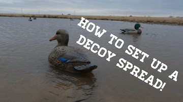 Duck Hunting For Beginners: The Best Decoy Spread!