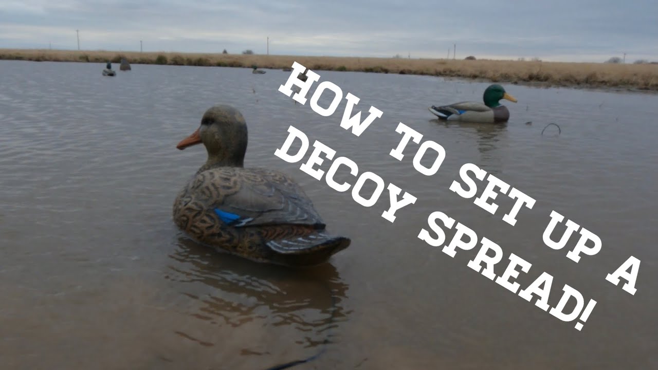 Duck Hunting For Beginners The Best Decoy Spread! YouTube