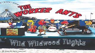 Lyric Video - Wild Wildwood Nights