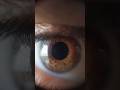 Teaching Sixth Grade Students About Eyes | Cool Science Experiments #scienceshorts #eyes #shorts