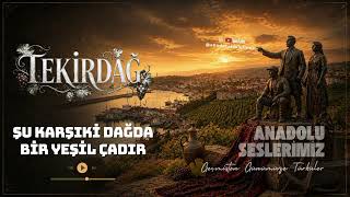 Şu Karşıki Dağda Bir Yeşil Çadır - Tekirdağ Türküsü Anatolian Rock Cover
