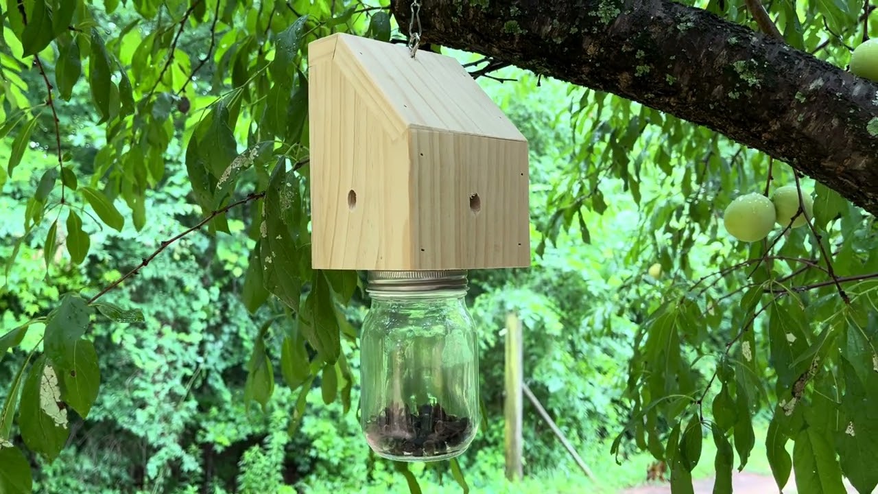 Pine Wood Bee Trap Original Wood Color