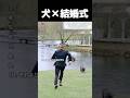 結婚式に出席した犬たち